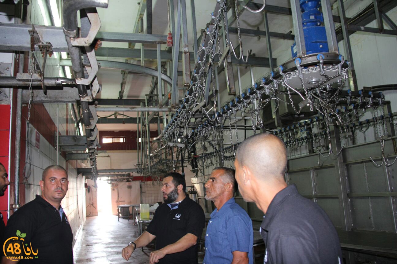 jam3iya yaffa 3ojolej (11).jpg